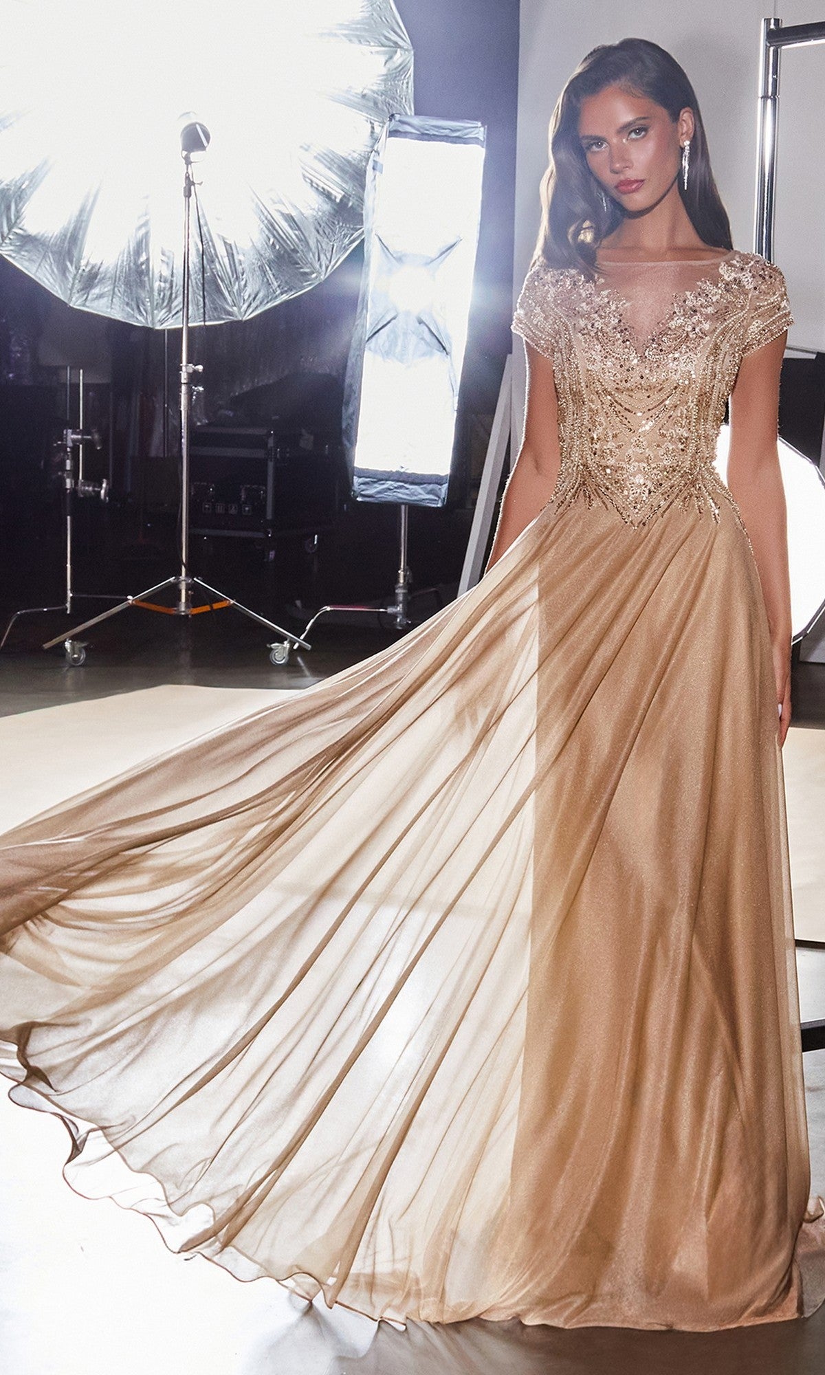 A woman stands in a studio lit by professional lights, wearing the Ladivine CL11 long formal dress featuring a beaded embellished bodice.